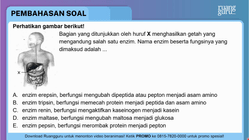 Pembahasan