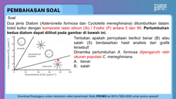 Pembahasan