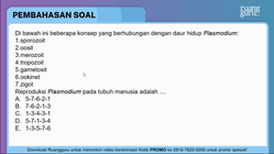 Pembahasan