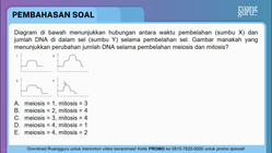 Pembahasan