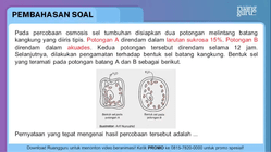 Pembahasan