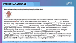 Pembahasan