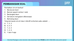 Pembahasan