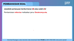 Pembahasan