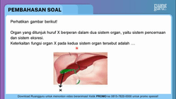 Pembahasan