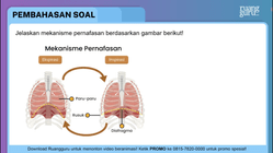 Pembahasan