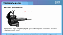 Pembahasan