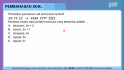 Pembahasan