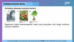Pembahasan