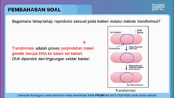 Pembahasan