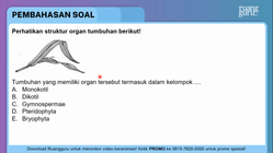 Pembahasan