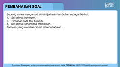 Pembahasan