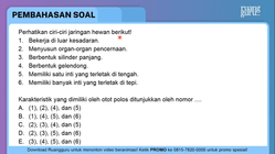 Pembahasan