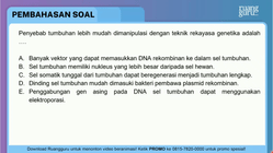 Pembahasan