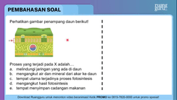 Pembahasan