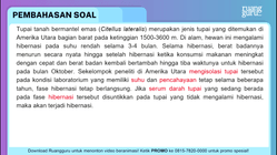 Pembahasan