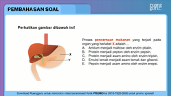 Pembahasan