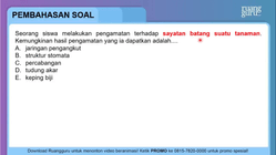 Pembahasan