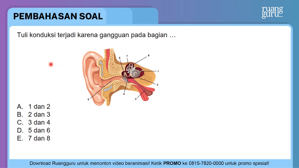 Vaginal koptoklarning foydalanuvchi sharhlari