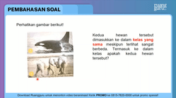 Pembahasan