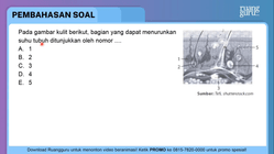 Pembahasan