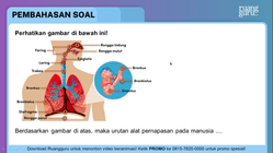 Pembahasan