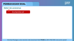 Pembahasan