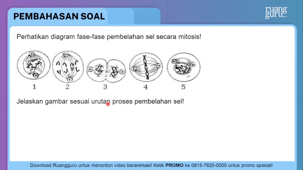 Perhatikan Diagram Fase-fase Pembelahan Sel Secara...