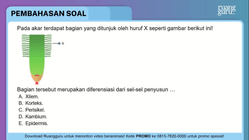 Pembahasan