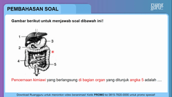 Pembahasan