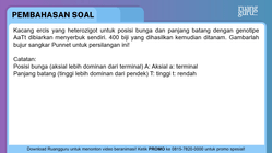 Pembahasan