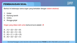 Pembahasan