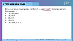 Pembahasan