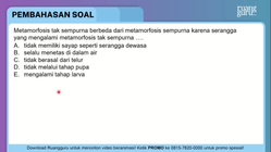 Pembahasan