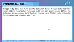 Pembahasan