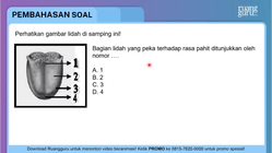 Pembahasan