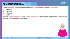 Pembahasan