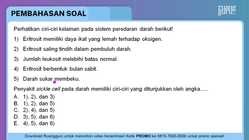 Pembahasan