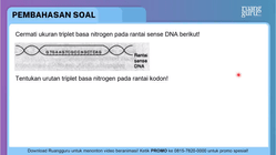 Pembahasan