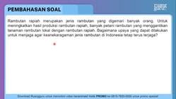 Pembahasan