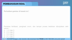 Pembahasan