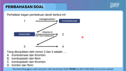 Pembahasan