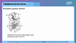 Pembahasan