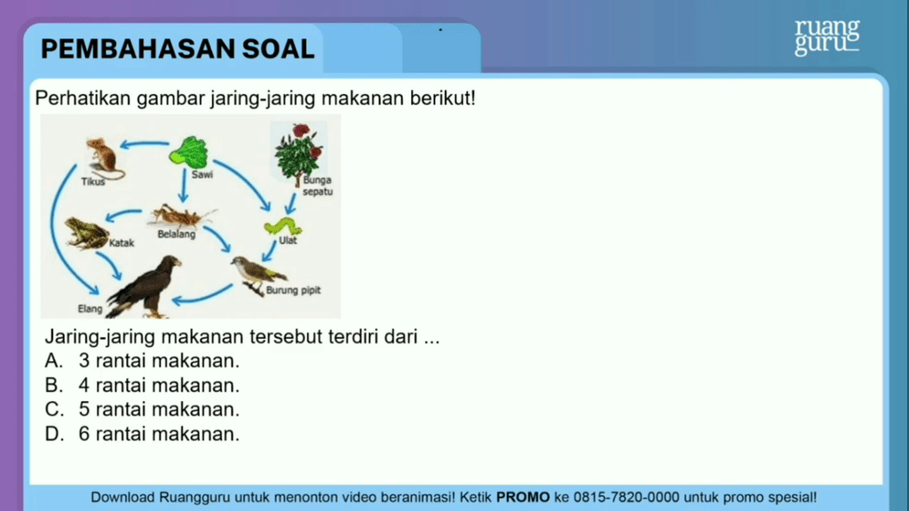 Perhatikan Gambar Jaring-jaring Makanan Berikut!