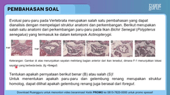 Pembahasan