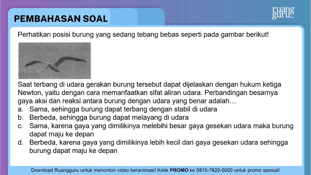 Perhatikan Posisi Burung Yang Sedang Terbang Bebas Perhatikan Posisi Burung Yang Sedang Terbang Bebas