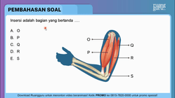 Pembahasan