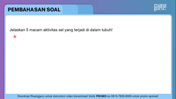 Pembahasan