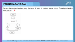 Pembahasan