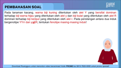 Pembahasan